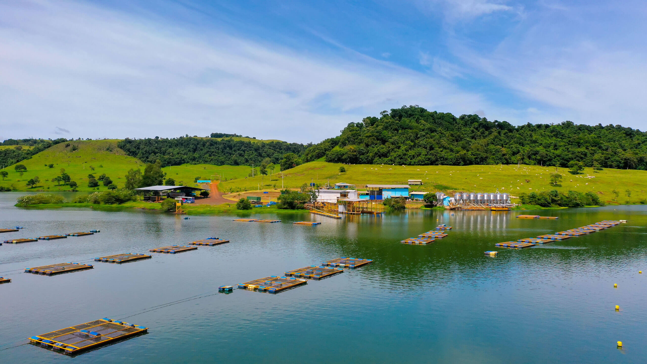 Píer da Alpha Fish Piscicultura com tanques-rede para criação de tilápias em lago no Paraná